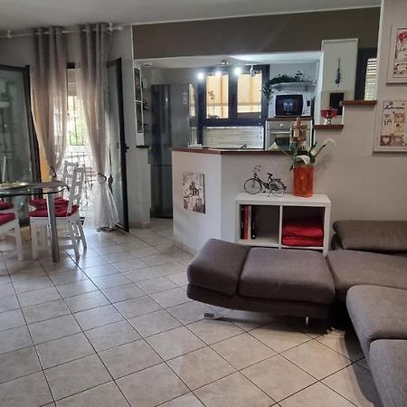 רימיני Chic & Relax Apartment מראה חיצוני תמונה